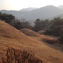 의령 중동리 고분군 이미지