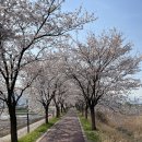 꽃편지길 이미지