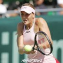 한솔코리아 이미지