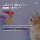 월드펫동물병원 이미지