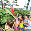 새라 어린이집 이미지