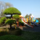 지석초교 이미지