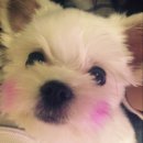 봄내병원 이미지