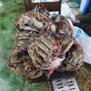 대일수산 이미지