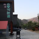 알파카 소풍 펜션 | 홍천 펜션추천 알파카소풍 펜션 / 글램핑 가능