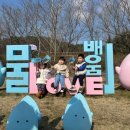 아기둥지어린이집 이미지