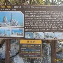 석림테크 | [추암해수욕장] 동해바다가면 꼭 가봐야 하는거 아니야??