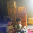 세진농장 이미지