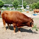 유유자적 이미지