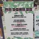 대디동물병원 | 파충류샵 크레리즘 인청청라점 / 인천 게코 도마뱀 용품 구매후기