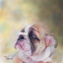 강아지그림 이미지