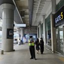 운동화빠라빠라 | 제주신라호텔 2박3일 얼리체크인 정원전망 스탠다드 트윈룸 가든뷰 오션뷰