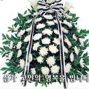 회원동303 이미지