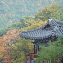 성불사 앞 이미지