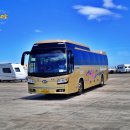 성산읍 성산리 재활용 도움센터 | 제주도 단체버스 대절 45인승 렌트 제주 단체여행 예약 후기