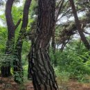 구미중앙로45길 이미지