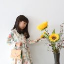 코코트리 이미지