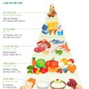 송파식품 네이버블로그