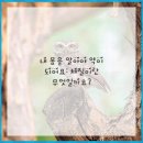 팔팔한의원 | 퇴계동한의원 척추 관절통증 왜 계속 될까요~팔팔한의원에서 알려드립니다~~
