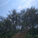 동서마을회관 Daum카페