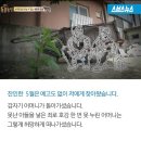 똘이농장 이미지