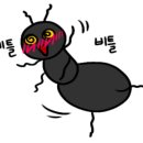 행운샵 이미지
