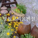 고씨굴펜션