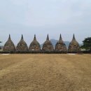 영산강로 이미지