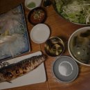 오징어 세상 이미지