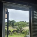 까치꽃 반찬 | 제주도 여름휴가 3박4일 근데 이제 뜨개옷을 곁들인..(2)