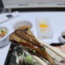 청주 박준양 스시 내돈내산 배달 후기!