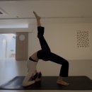 제주도 요가여행 기록 (오레스트 요가/오롯이 요가/요가 베르데/한주훈 요가원)
