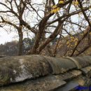 솔숲갈래길 이미지