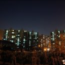 제4회 수요 저녁걷기 3월28일 응봉산과 서울숲 이미지