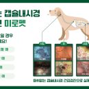 정직한 동물병원 이미지