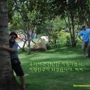 301차이나 이미지