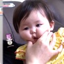 벤틀리네 이미지