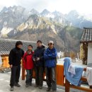 산목