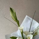 아내의. 꽃(花희) | 기념일 아내가 최고로 만족했던 송도꽃집 맞춤꽃다발 후기