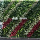 [도로]일월공원 주차장2 | 수원 일월수목원 방문후기 (제라늄 품종전시, 할인, 주차 등)