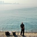 청도의 아침 이미지