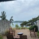 비고리조트 10 이미지