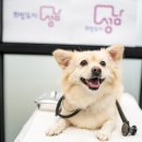 성남동물병원 이미지