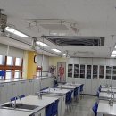 안산호원초등학교 이미지