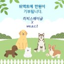 히피스베이글 1set(10가지)+스콘=39,900 먹고 동물구조단체에 기부까지~ 이미지