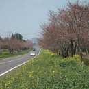 휘게하우스 꺼멍 이미지