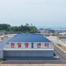 신안유통