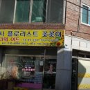 박사플로리스트꽃꽂이