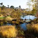 영랑호컨트리클럽 이미지