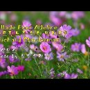 Ballade Pour Adeline (아드린느를 위한 발라드) / Richard Clayderman & photo by 모모수계 이미지